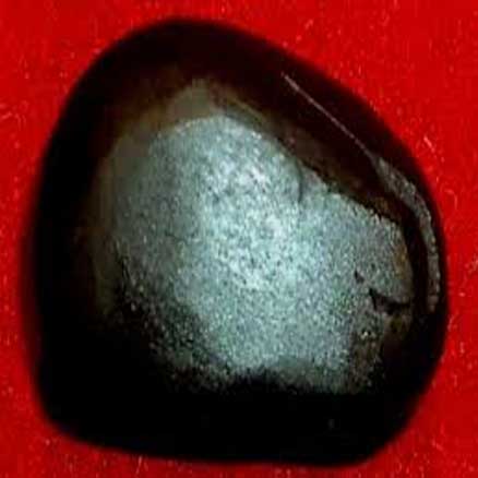 Shaligram Shila